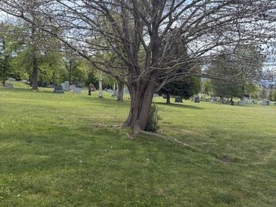 Mt. Olivet cemetery plot