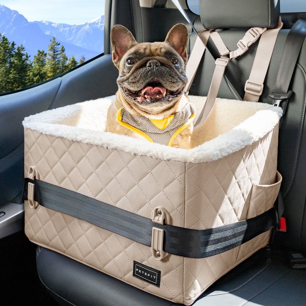 NEW PETSFIT SMALL DOG BOOSTER CAR SEAT ( RETAILS; $63.99)
