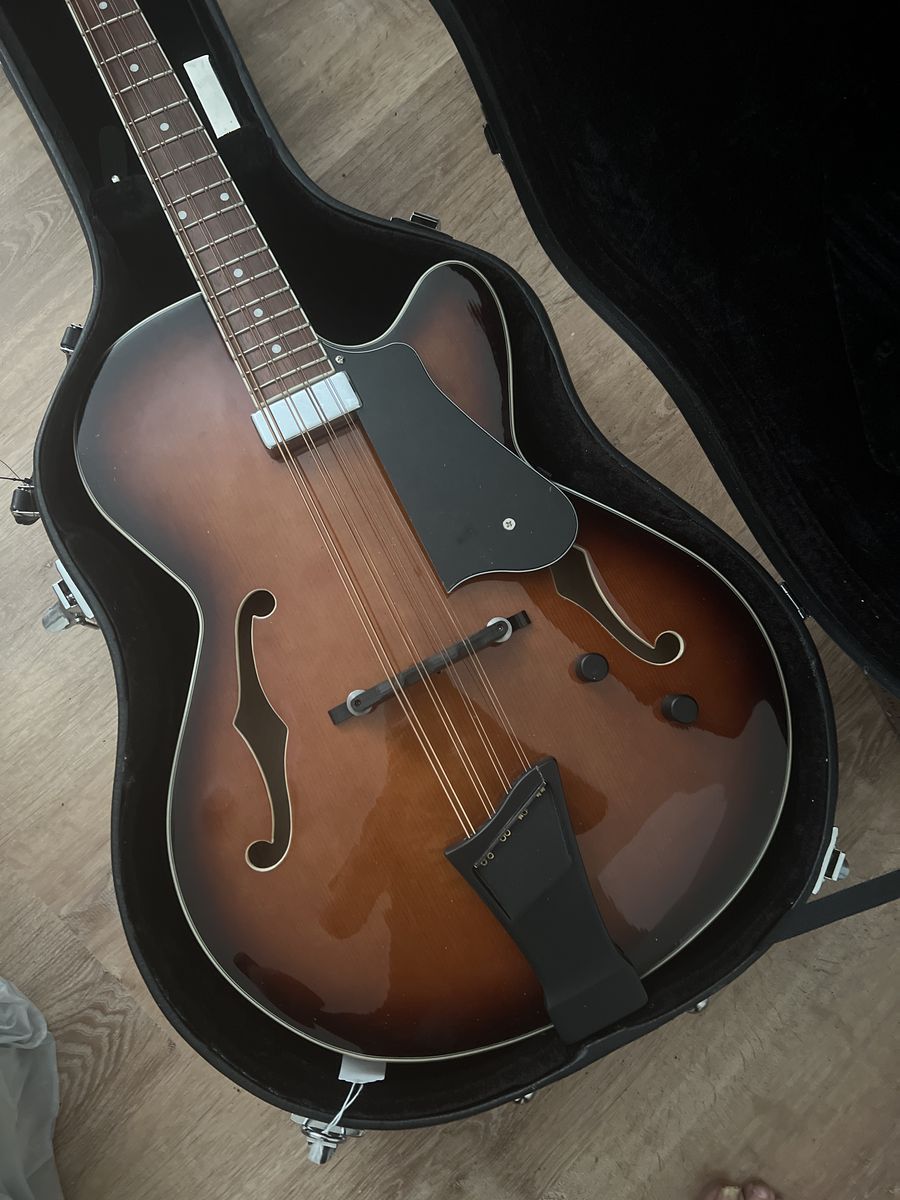 Pristine Goldtone Mandocello