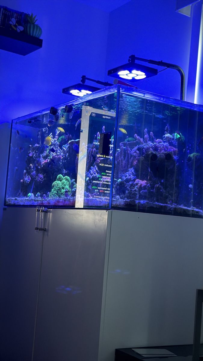 Waterbox 130.4 Aquarium Tank with White Cabinet Stand & Sump