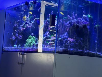 Waterbox 130.4 Aquarium Tank with White Cabinet Stand & Sump