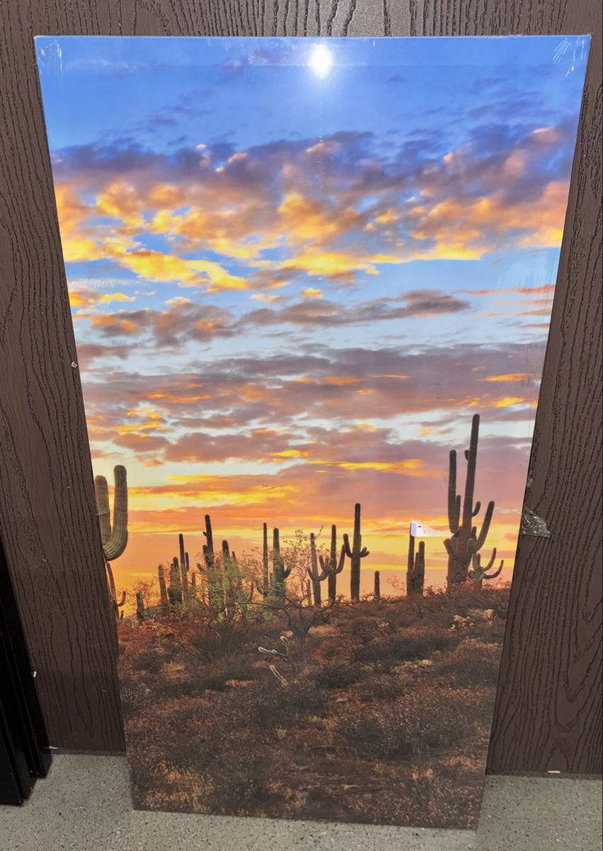 Sunset Cactus Wall Art