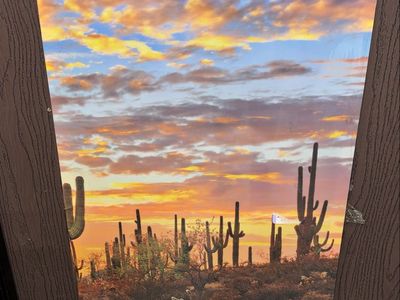 Sunset Cactus Wall Art