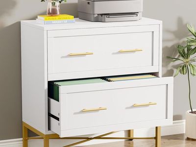Tribesigns Modern White 2 Drawer File Cabinet, Lateral Filing Cabinet for Letter