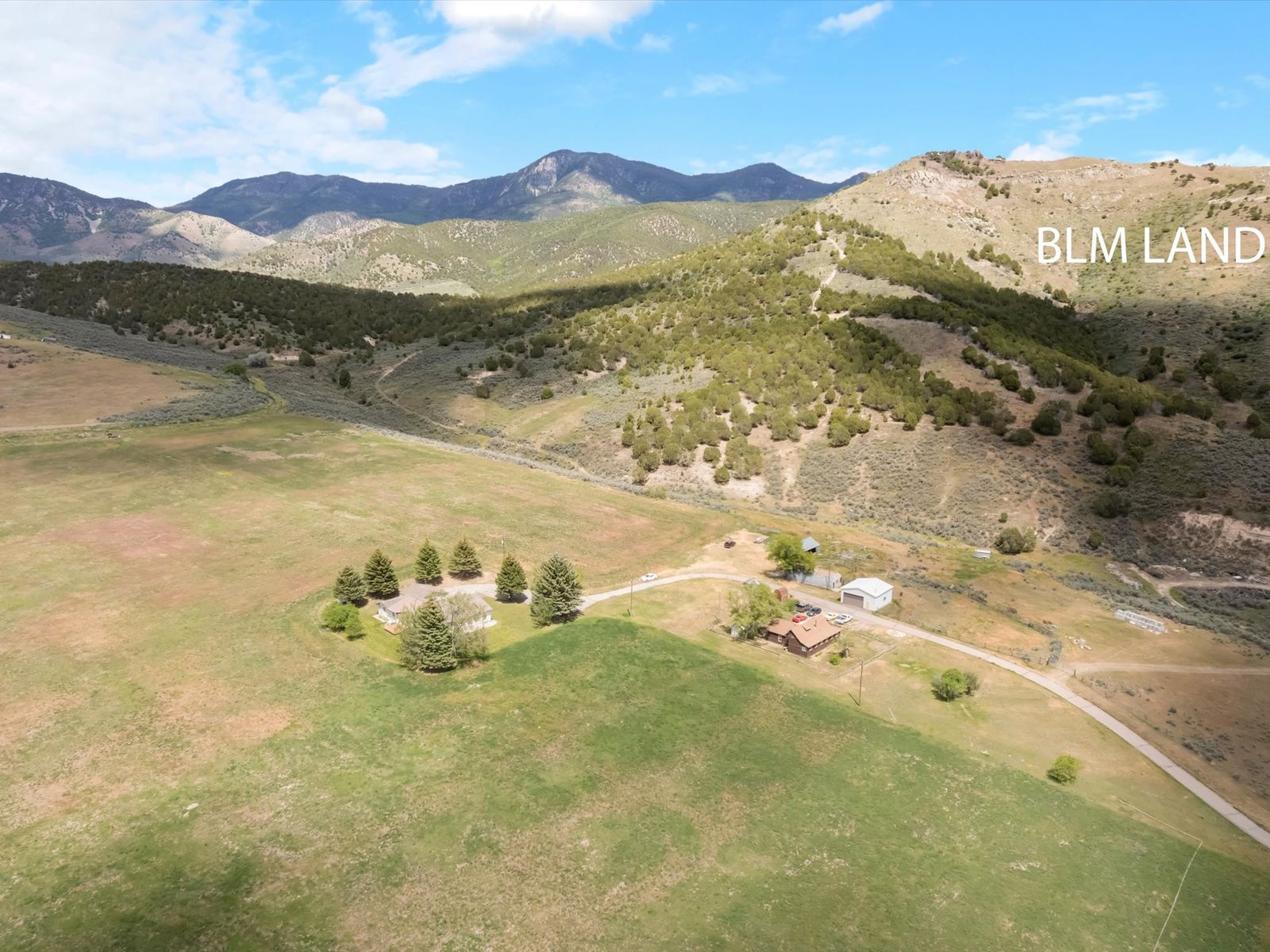 Main image 6