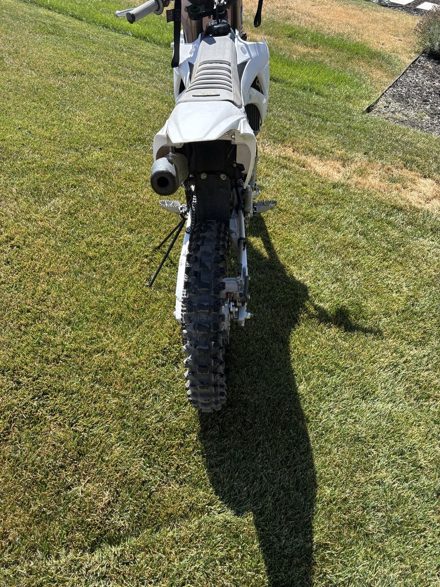 Main image 4