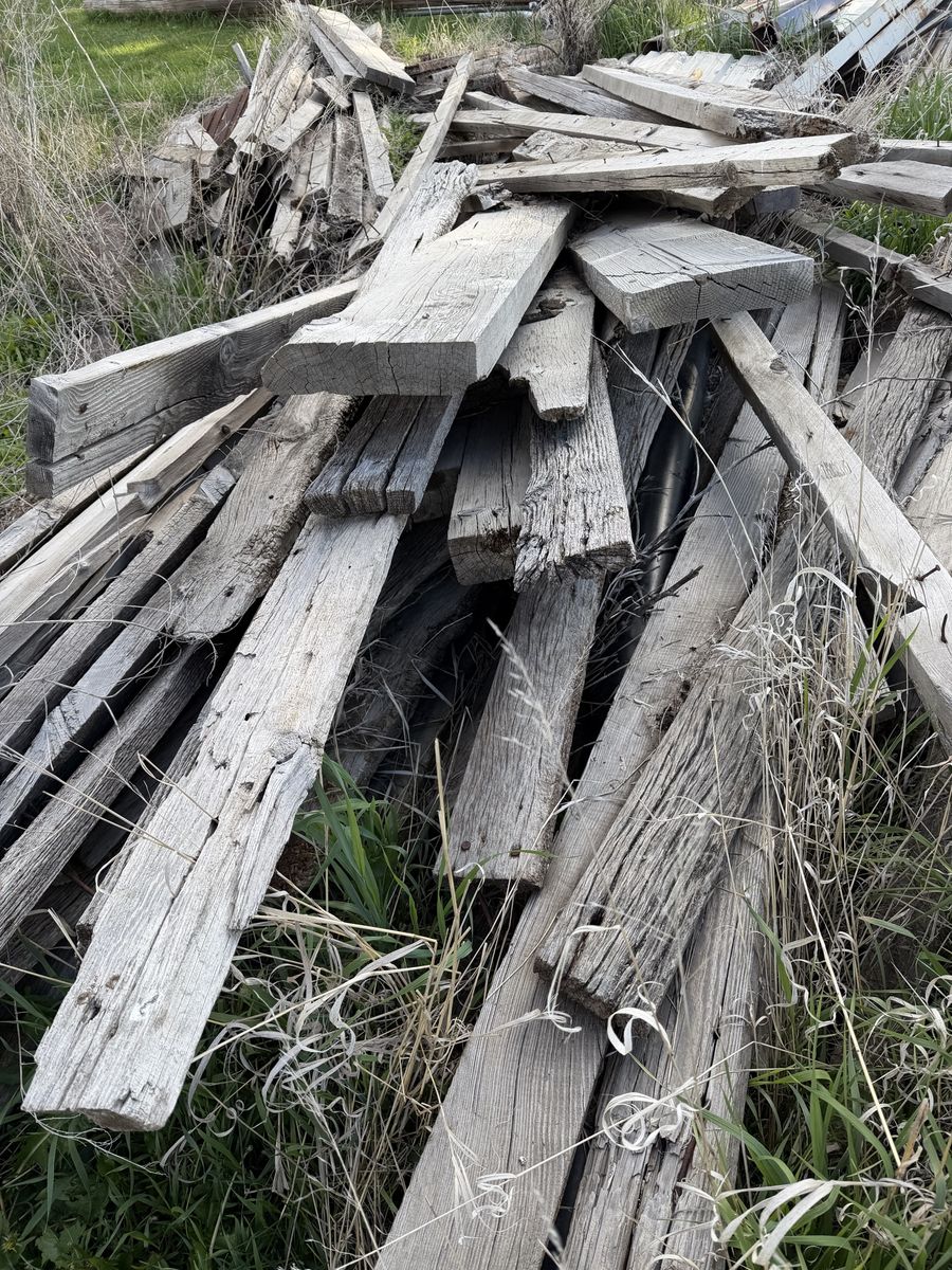 Old wood
