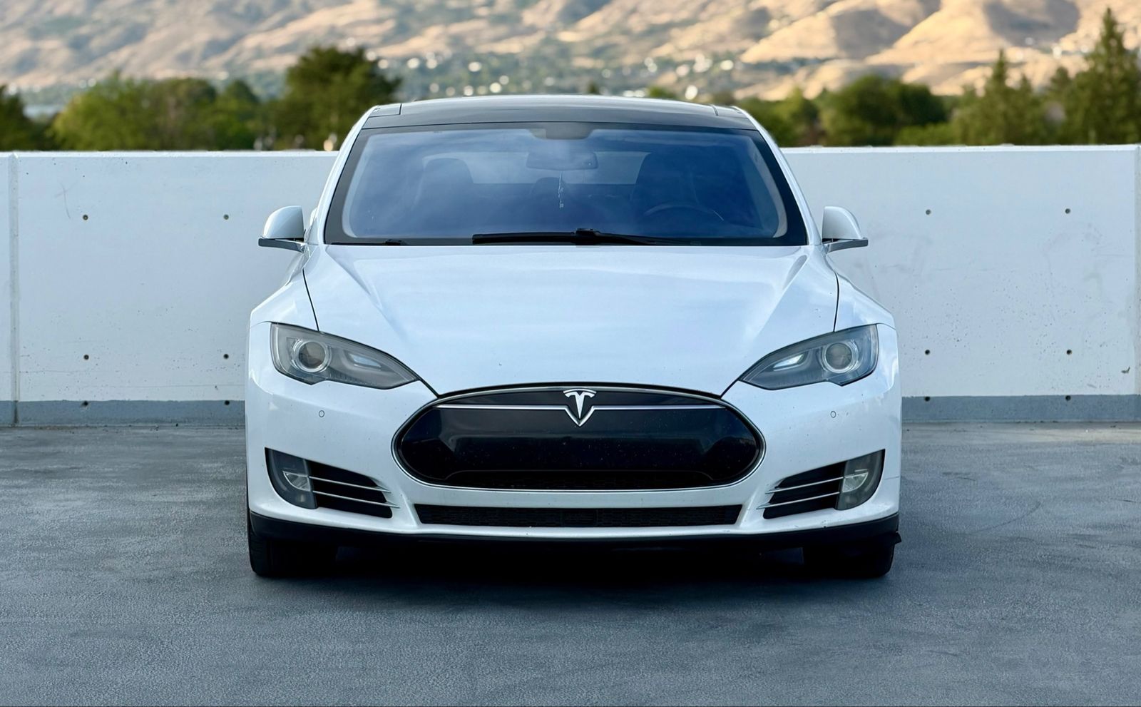 2014 Tesla Model S P85