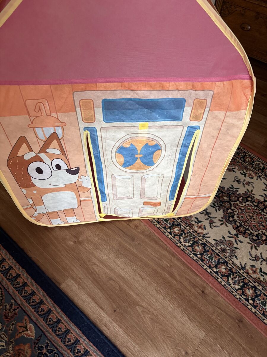 Bluey Tent - $10