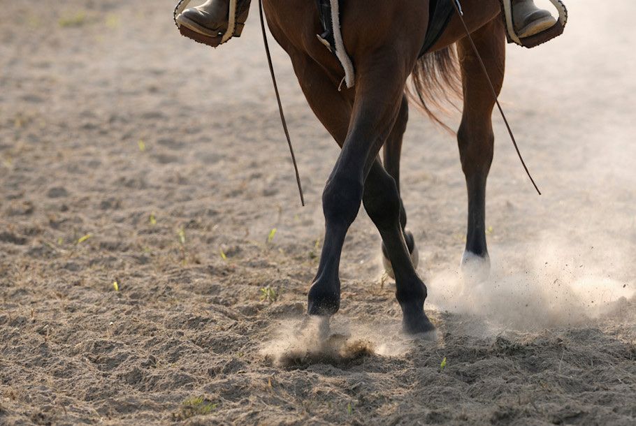Arena Sand Delivery | Horse Arena Sand