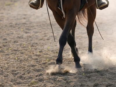 Arena Sand Delivery | Horse Arena Sand
