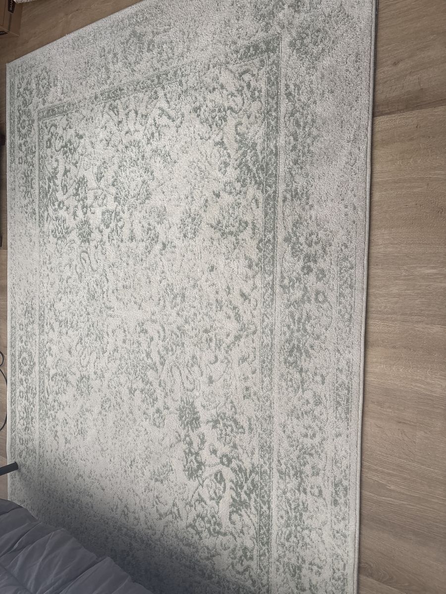 6 x9 Cream and sage area rug