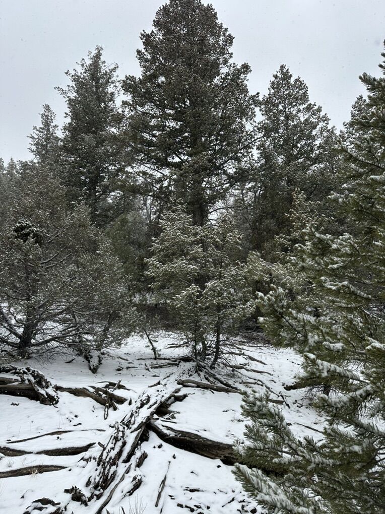 Recreational Property 57.37 Acres