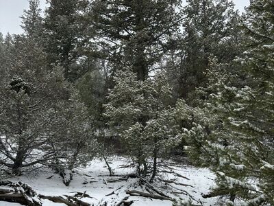 Recreational Property 57.37 Acres