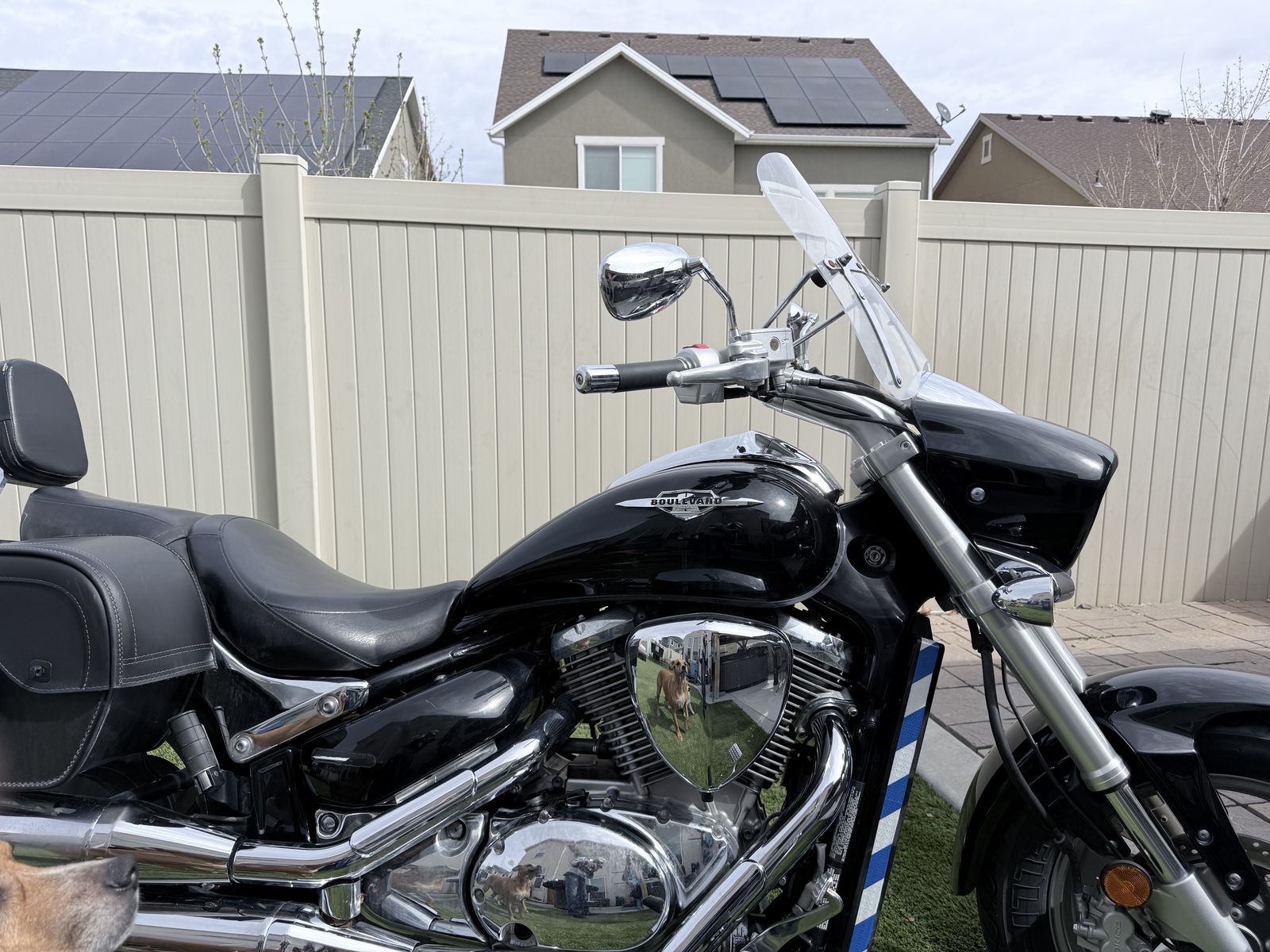 Suzuki Boulevard C90