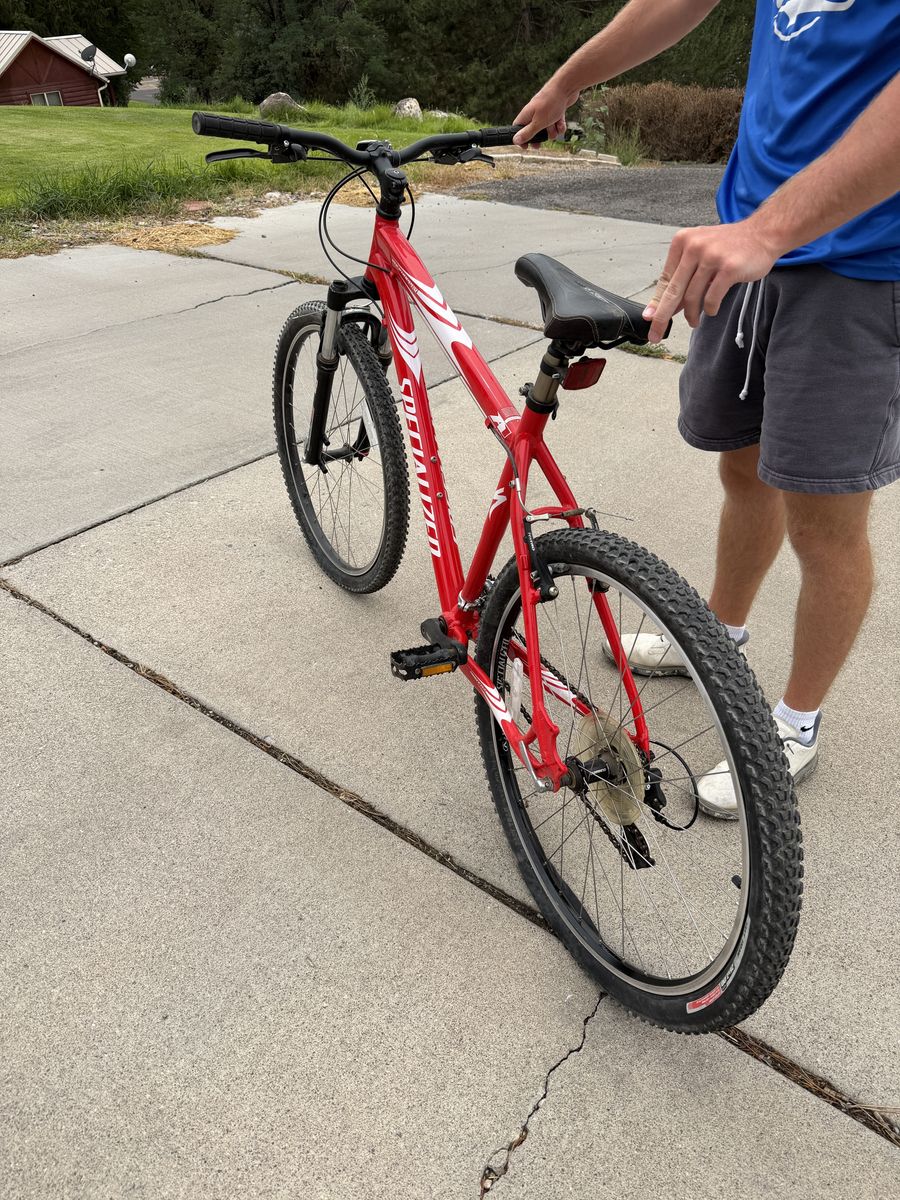 Specialized Rockhopper A1 19" Mountain Bike – $225