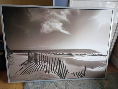 Large wall art 40x56