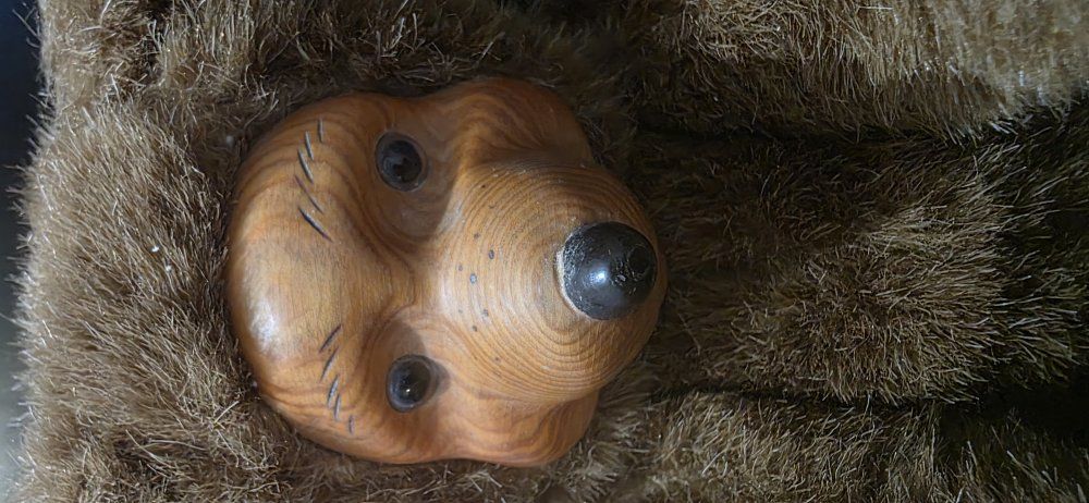 Main image 7