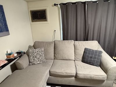 Couch- Sleeper Sofa