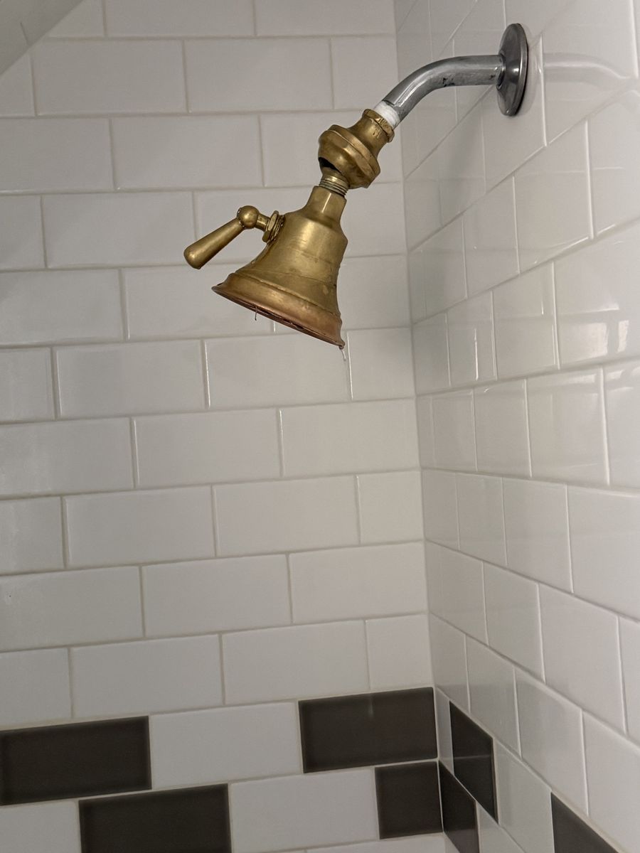 I Tage Speakman Anystream Brass Showehead