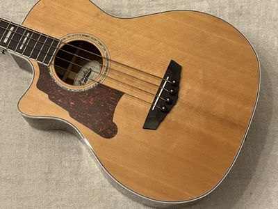 D’Angelico Acoustic Electric Bass LEFT HAND