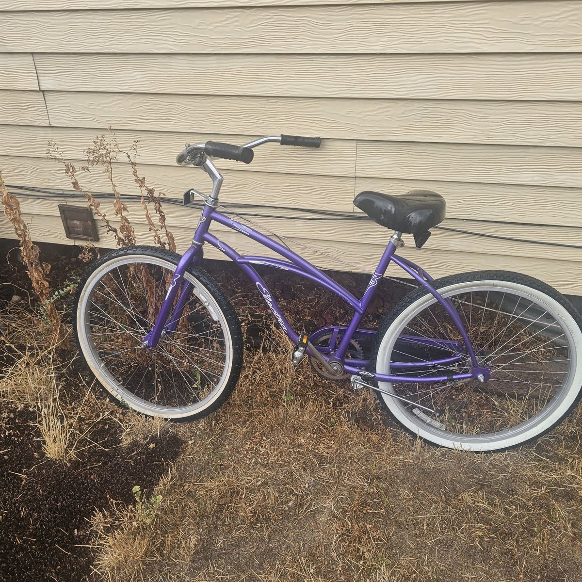 Electra Cruiser Bicycle Purple Single Speed