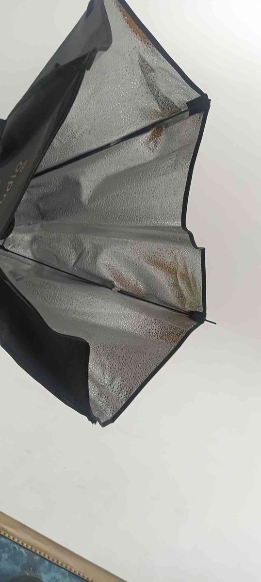 Main image 7