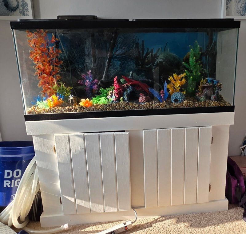 50 Gallon Aquarium with White Stand