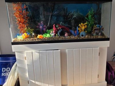 50 Gallon Aquarium with White Stand