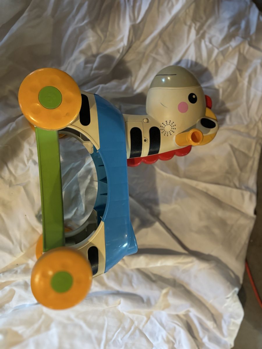 Zebra scooter