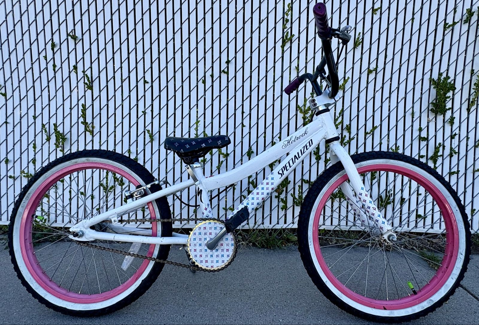 20” Specialized Hot Rock bike