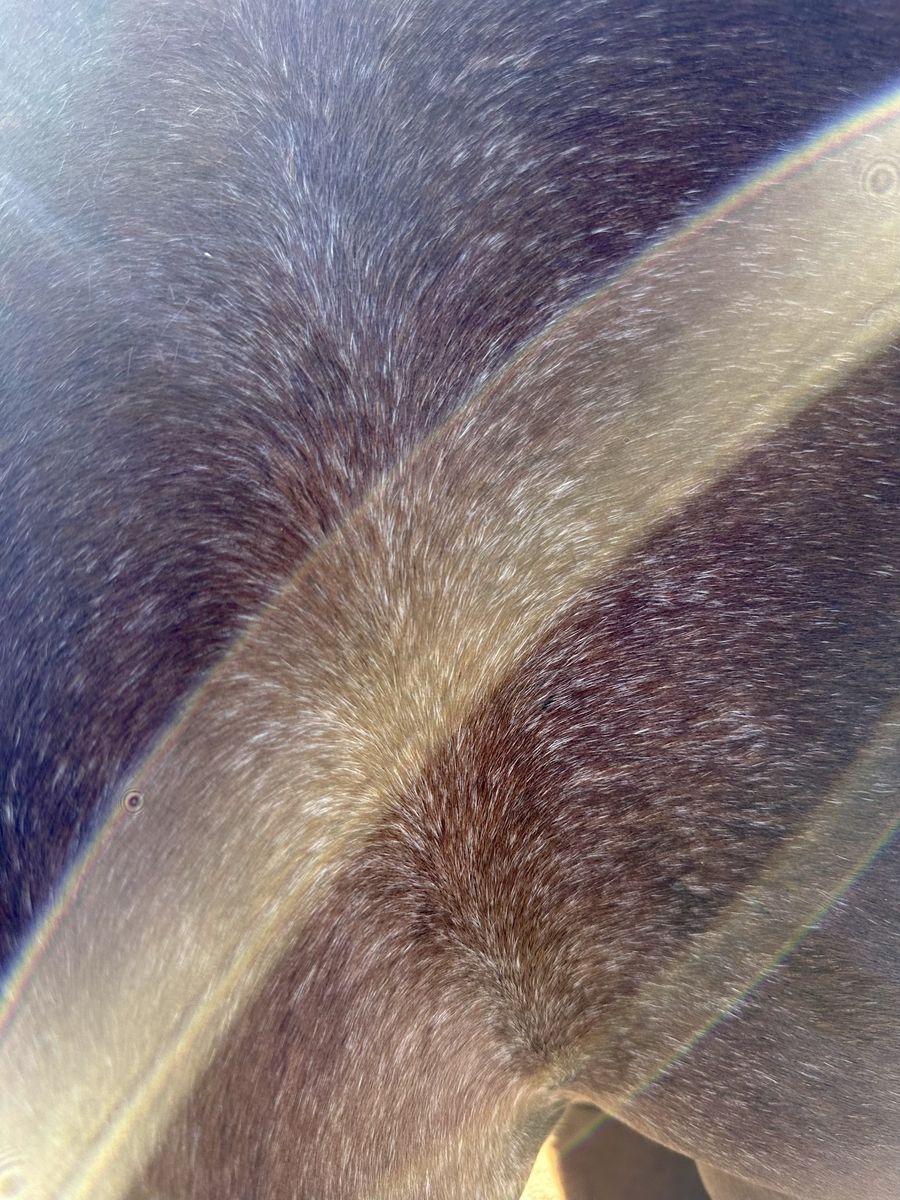 Main image 6