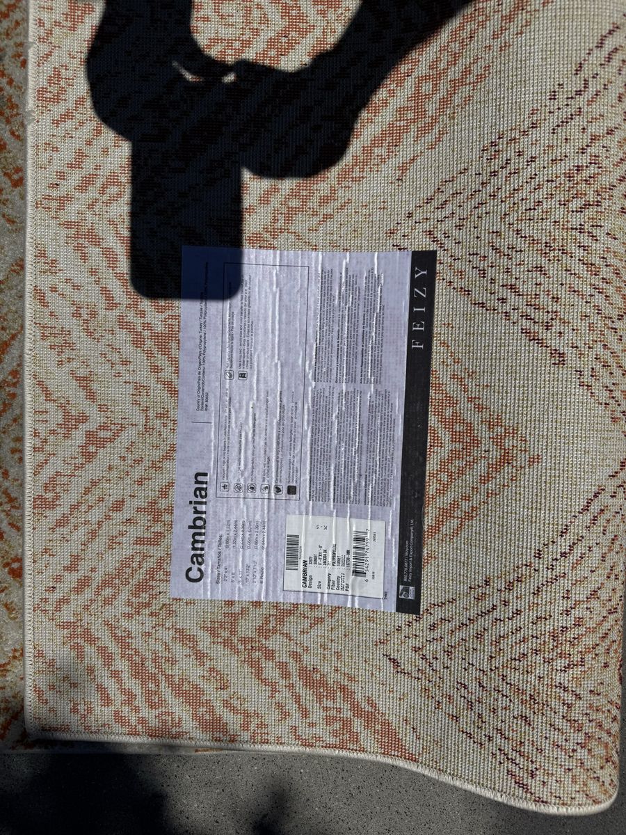 Cambrian rug