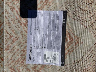 Cambrian rug