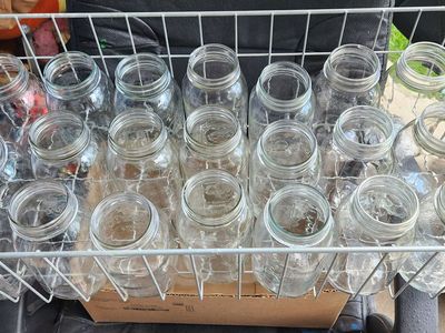 25 Quart Mason Jars