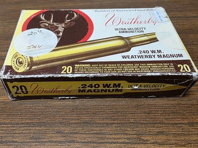 .240 WM Magnum Rounds