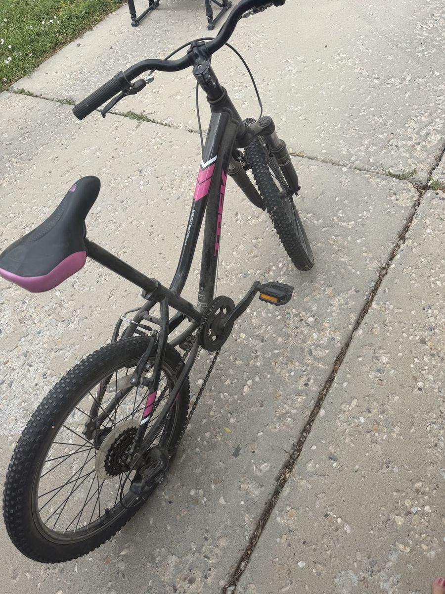 Trek 20” Bike