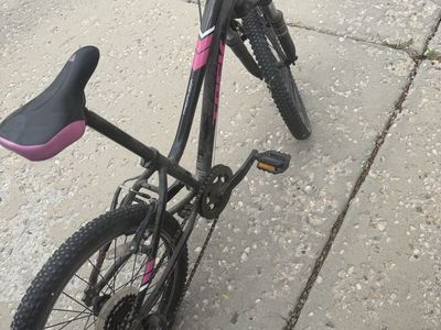 Trek 20” Bike