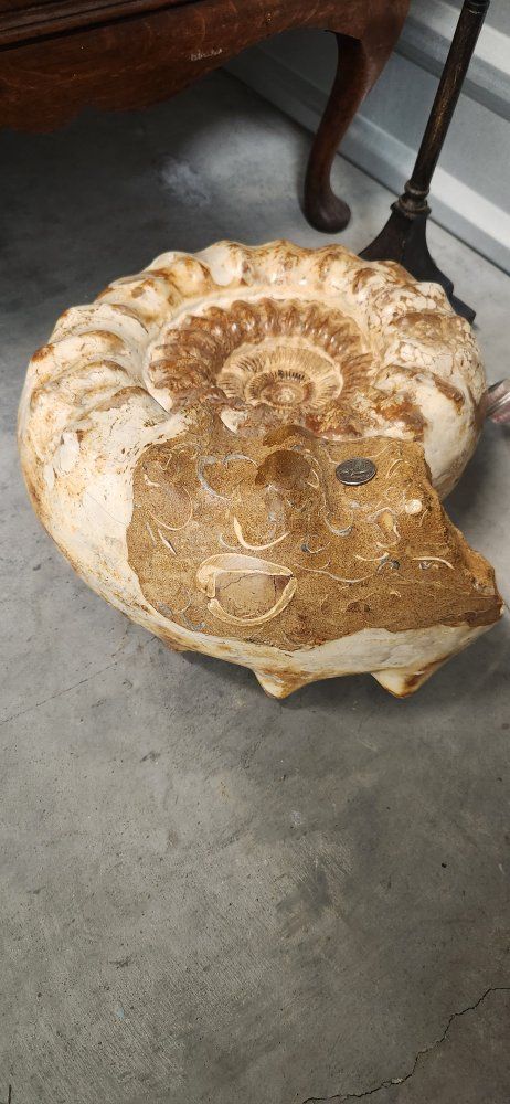 Main image 2