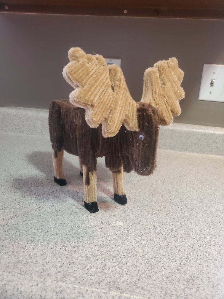 moose decoration