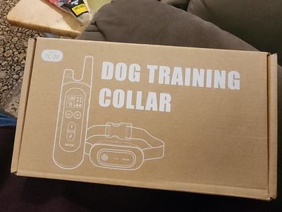 dog training collars