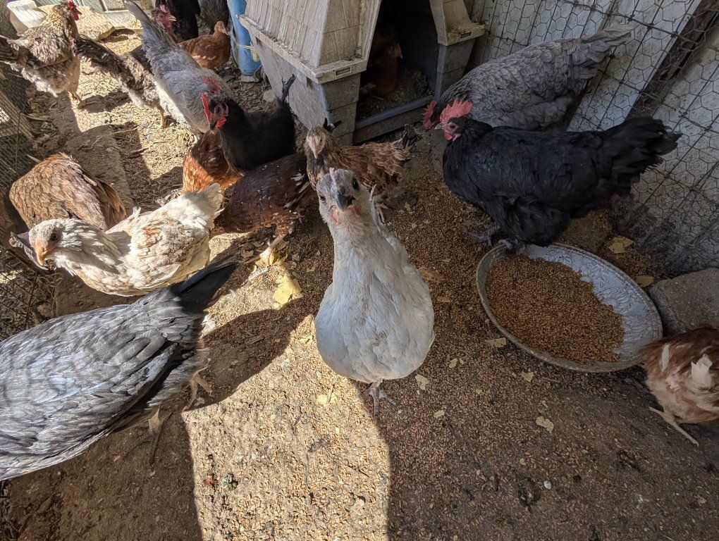 Main image 54