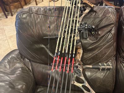 Hoyt trykon bow