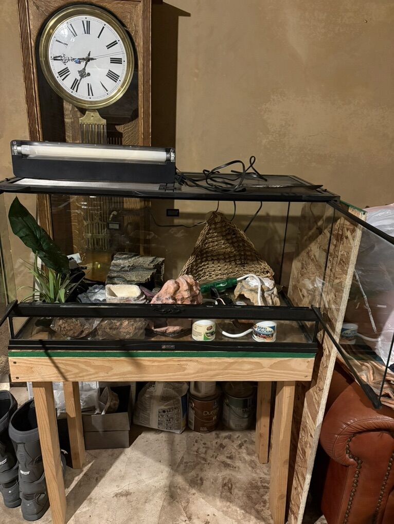 Leopard Gecko Setup