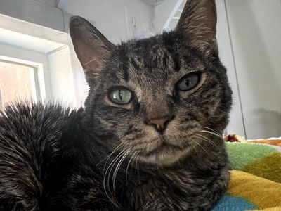 Hello my name is Ted