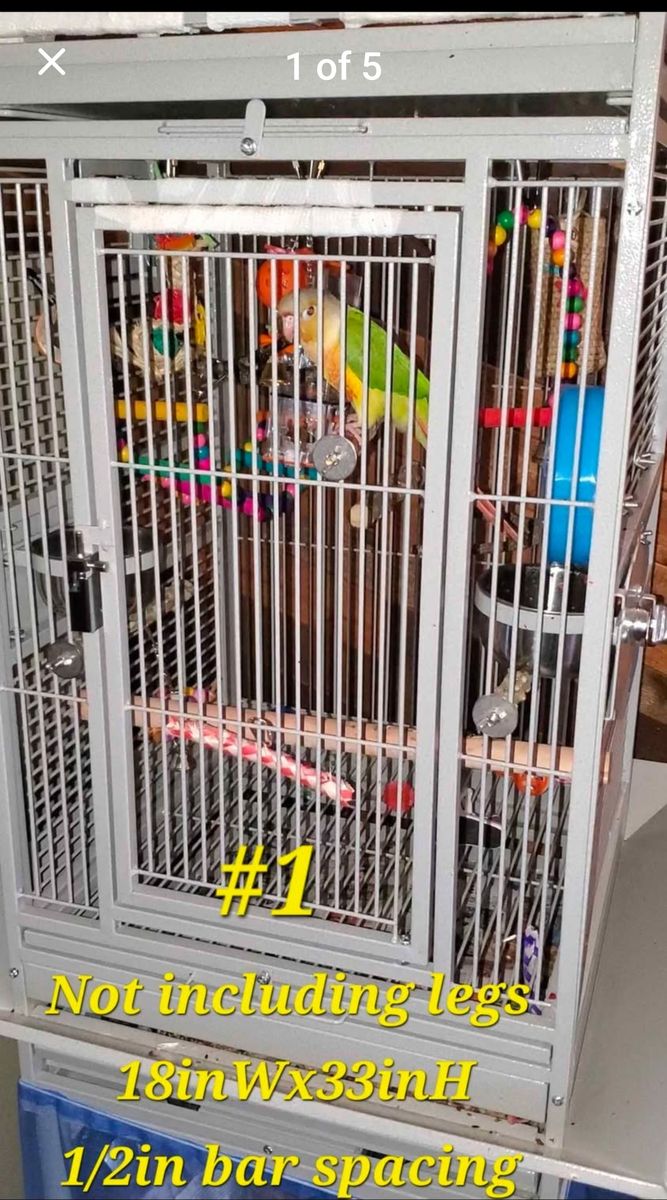 Bird Cages