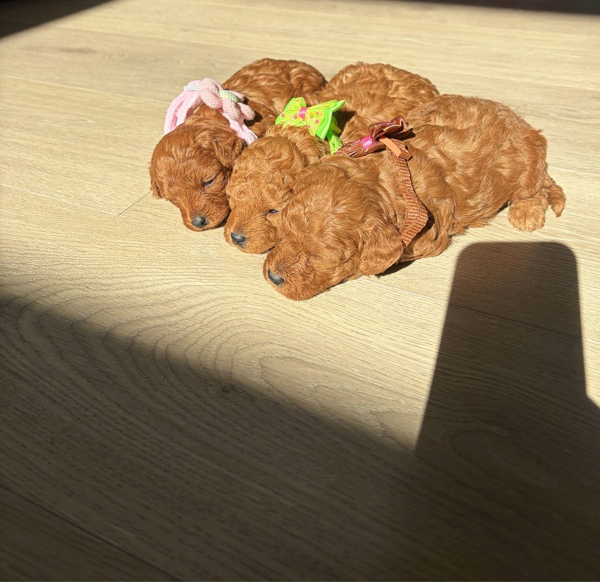 Main image 8