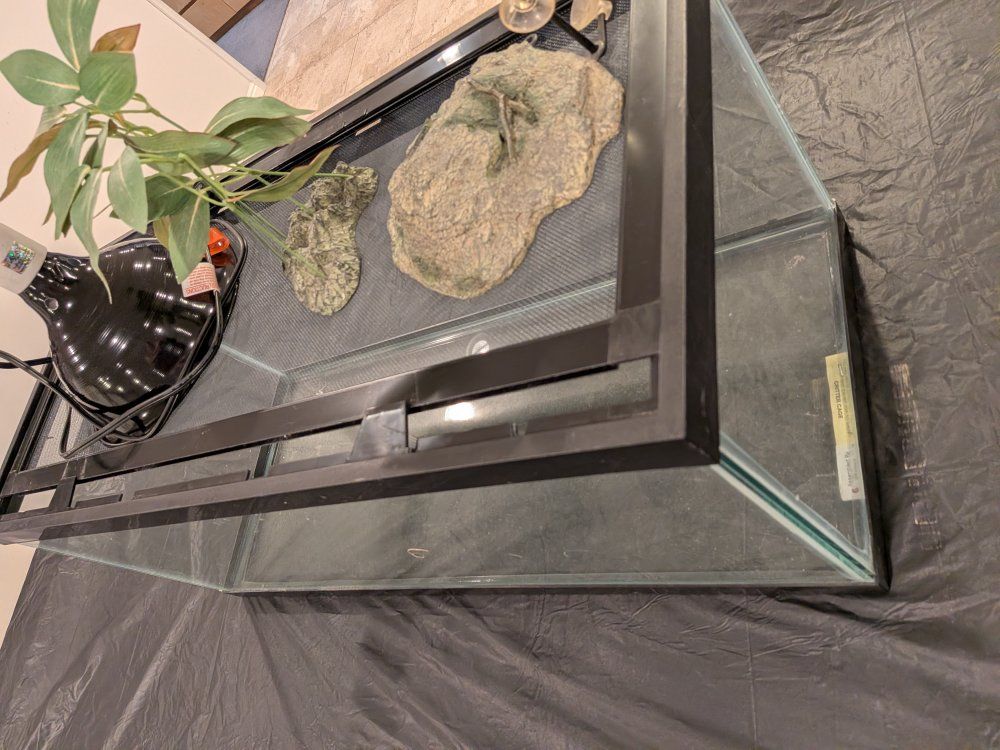 Main image 4