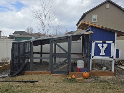 Custom Chicken Coop