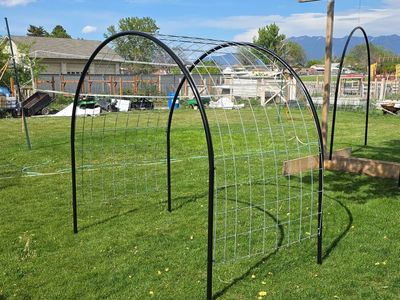 Custom Steel Trellis or Garden Tunnel
